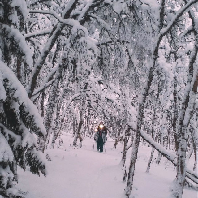 Åre Duved: A Hidden Gem in Sweden’s Winter Wonderland