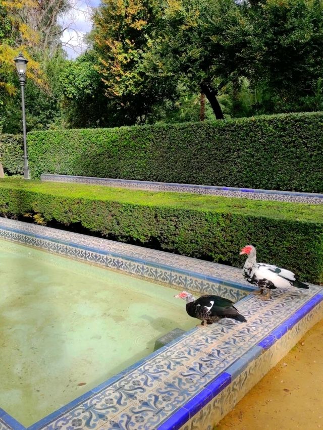 美麗奇妙的歷史公園