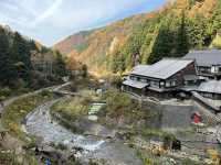 地獄谷野猿公苑 長野縣景點 日本旅遊