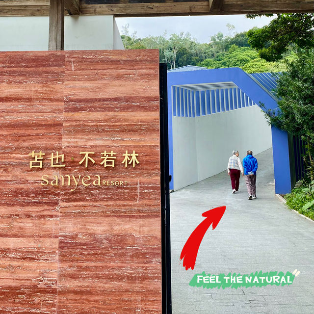 休息是因為不想走路🤭吃喝躺平於深圳😚