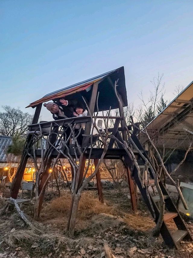 동화속 트리하우스가 있는 독특한 김제여행지🤎