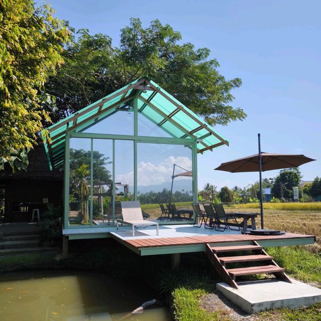 Grindsize Evergreen CNX at Breathe - Rice Valley 