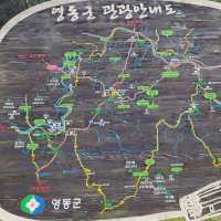 충북 가볼만한 곳