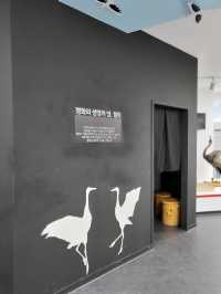 우리나라의 두루미를 지켜나가는 곳 철원