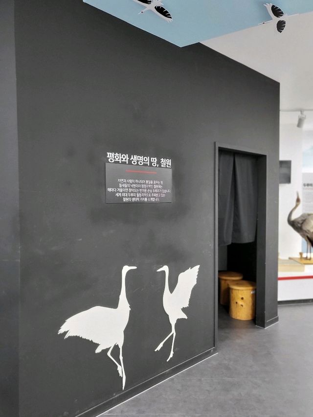 우리나라의 두루미를 지켜나가는 곳 철원