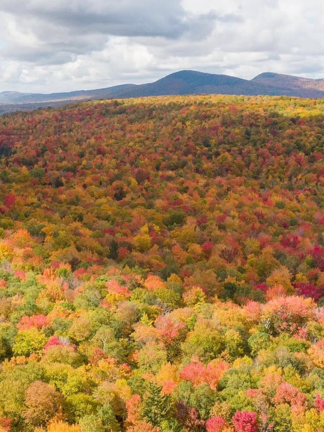New England Adventures: A Day of Quaint Towns, Coastal Charms, and Leafy Wonders 