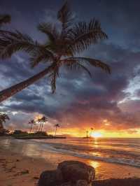 🫶🏽3 Reasons Why everyone ❤️ Oahu🥰