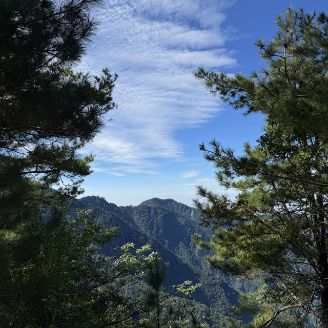 2024.11.30大雪山森林遊樂區