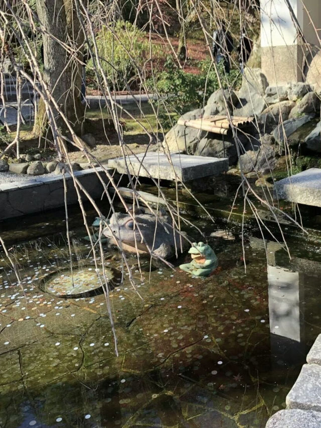 Arashiyama Kyoto🎍🇯🇵