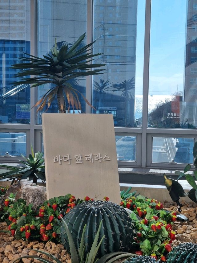 예쁜 겨울시즌 포토존