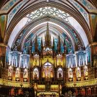 【北米のパリ】モントリオール🇨🇦