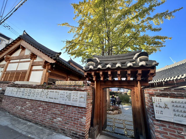 🇰🇷大邱✈️百年韓屋古宅星巴克스타벅스대구종로고택점
