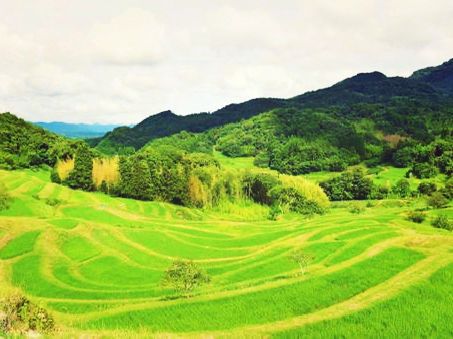 千葉🇯🇵大山千枚田