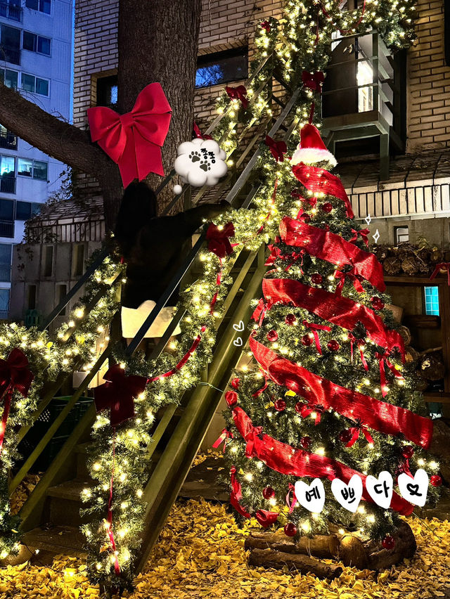크리스마스에는 여길 꼭 가야합니다.