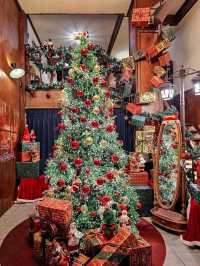 애인에게 사랑받는 크리스마스 데이트 장소 무궁화파이브✨️🎄

