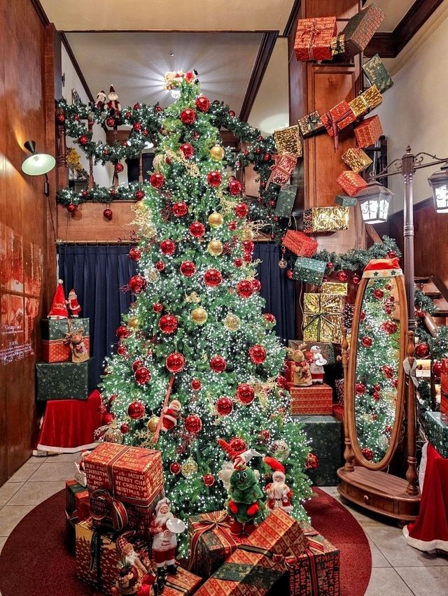애인에게 사랑받는 크리스마스 데이트 장소 무궁화파이브✨️🎄
