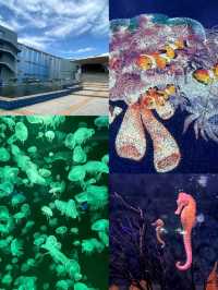 Bangsaen Aquarium: พิพิธภัณฑ์สัตว์น้ำชลบุรีสุดชิล
