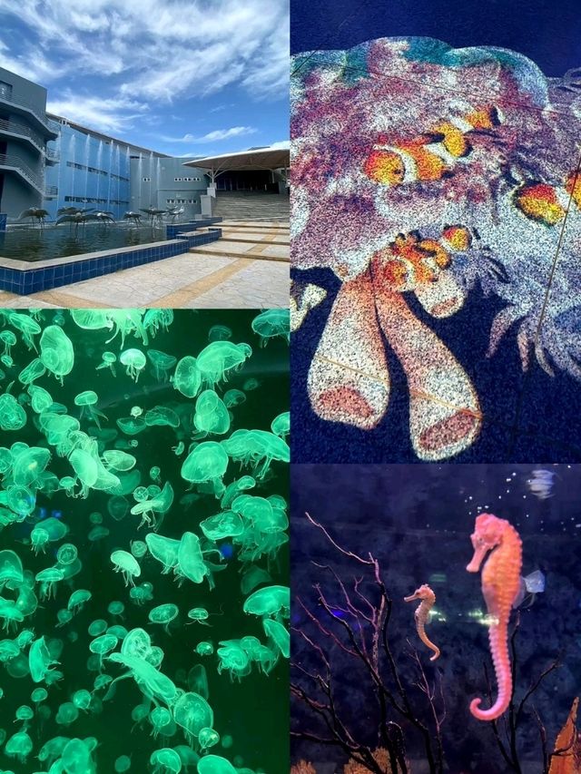 Bangsaen Aquarium: พิพิธภัณฑ์สัตว์น้ำชลบุรีสุดชิล