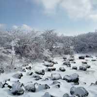 Winter Wonderland: Hiking Hallasan in Jeju’s Snowy Embrace