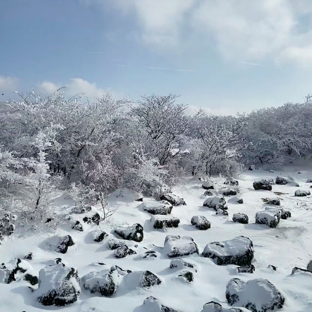 Winter Wonderland: Hiking Hallasan in Jeju’s Snowy Embrace