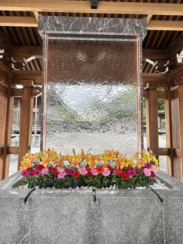 CMで話題となった光の道  3つの日本一がある神社