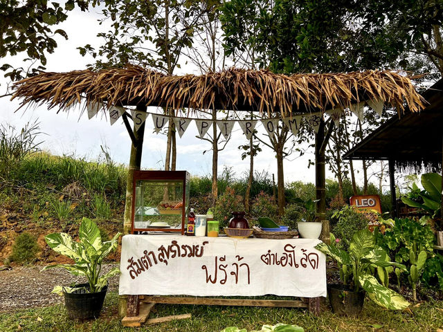 ที่พักท่ามกลางธรรมชาติกลางทะเลหมอก วิวภูเขา