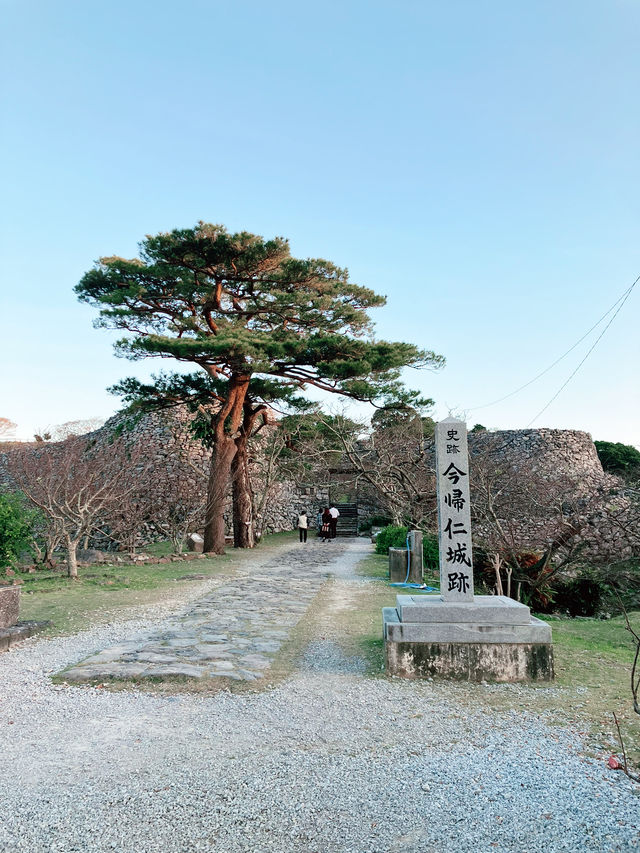 【沖縄本島・北部】今帰仁城跡で北部の景色を堪能する