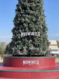 Midwinter X After You🎄เขาใหญ่