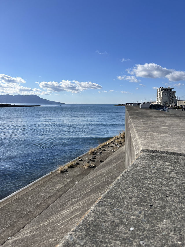 【沼津🇯🇵】人が少ない穴場スポット！狩野川を見渡せる堤防🏞