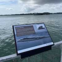 Wholesome fun at Pulau Ubin 