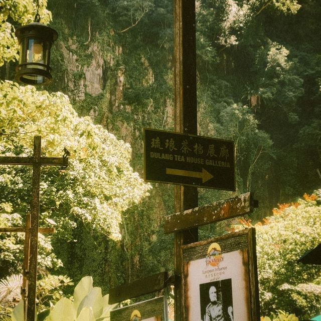 THE LOST WORLD OF TAMBUN