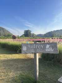 Audrey Hobby Farm เปิดปีละครั้ง!❣️