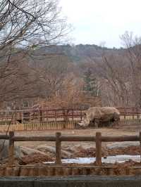 首爾親子遊 - 首爾動物園
