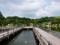 Hiroshima : สวนซันเคเอน Sankeien Garden