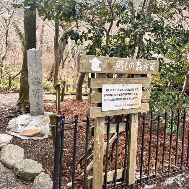 🇯🇵漫步有馬溫泉療癒之森🌲