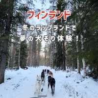 【フィンランド】冬のラップランドでする夢の犬ぞり体験🐕🛷❄️