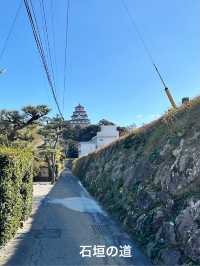 【佐賀県　唐津：おでかけ記録】