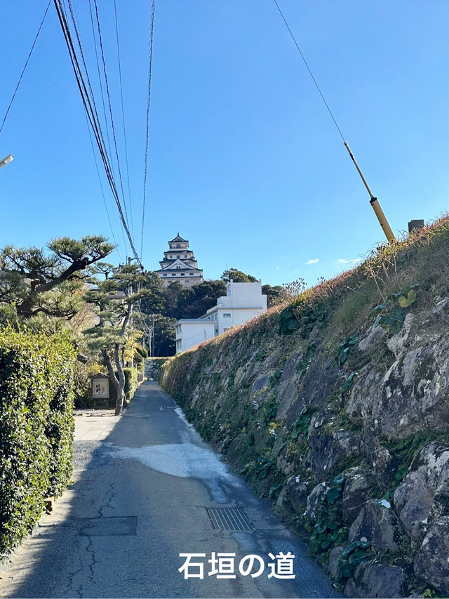 【佐賀県　唐津：おでかけ記録】
