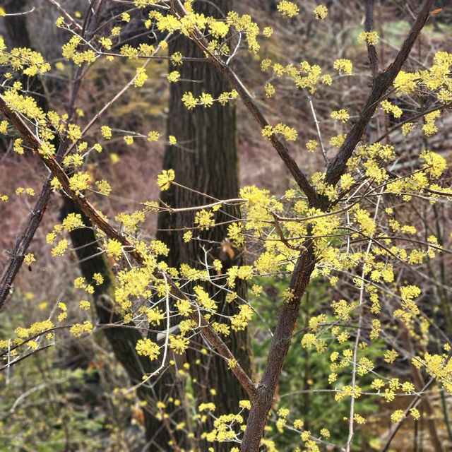 경기도광주
