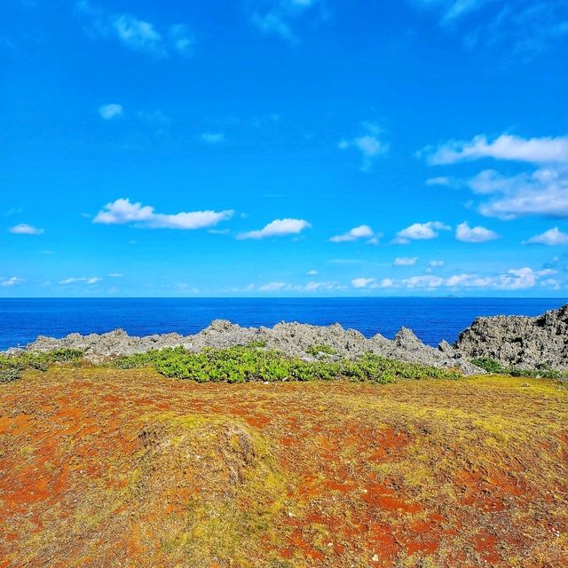 日本沖繩🌊|萬座毛海岸邊的視角🐘