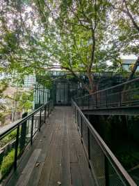 RAWR Cafe 曼谷森林系咖啡廳，彷如走入森林小屋