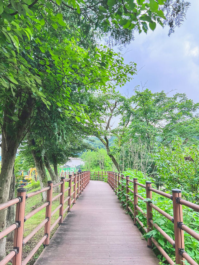 광릉수목원길 & 봉선사 산책 코스 