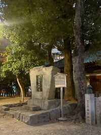 가족끼리 설에 가기 좋은 해외여행지 🇯🇵