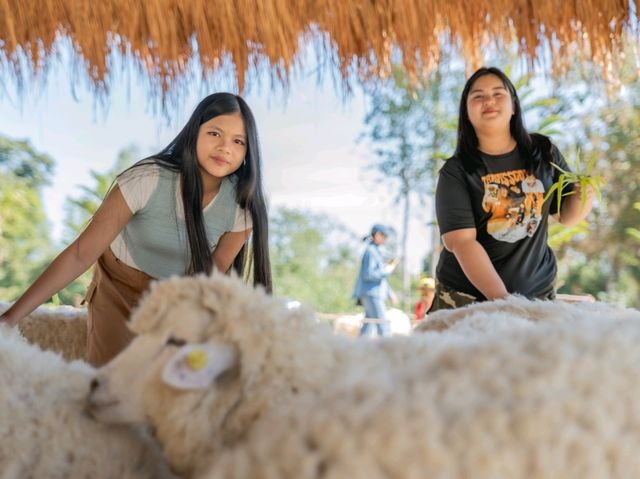 Stardoi Farm Khaoyai 