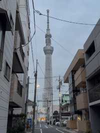 Sumida River Walk: A Scenic Stroll from Asakusa to Tokyo Skytree