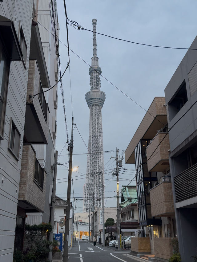 Sumida River Walk: A Scenic Stroll from Asakusa to Tokyo Skytree