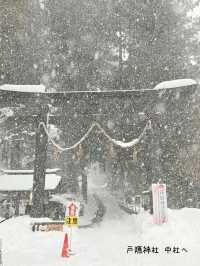 【長野／長野市】雪が降る戸隠神社の杉並木と中社⁡