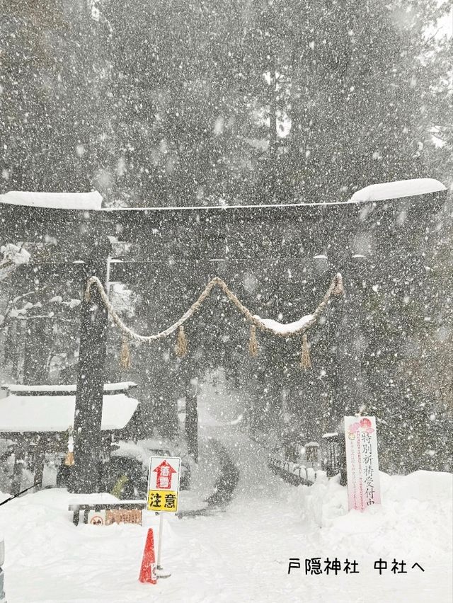 【長野／長野市】雪が降る戸隠神社の杉並木と中社⁡