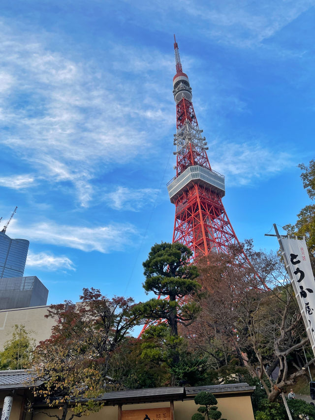 Tokyo Tower โตเกียวทาวเวอร์