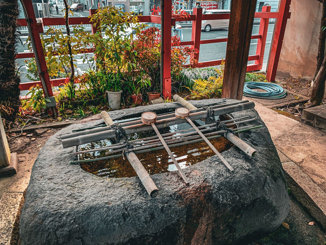 【愛知】狛犬が鹿🦌珍しい連理木がある神社⛩️